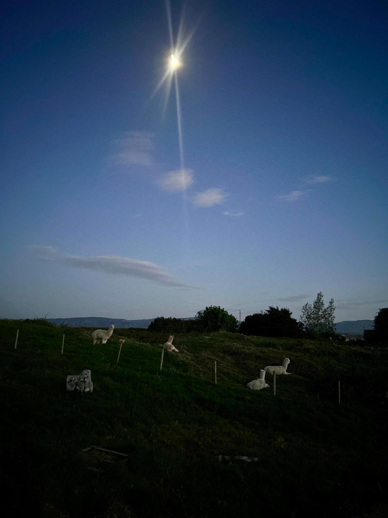 The Creevy Cabin Ballure エクステリア 写真